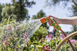 REHAU Bahçe Hortumları Artık Türkiye’de