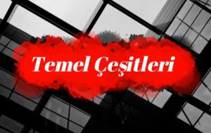 Temel Çeşitleri